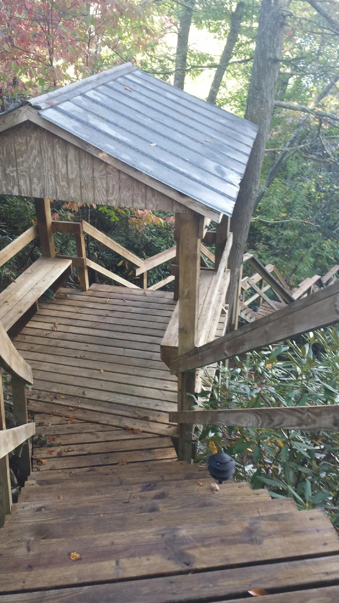 Metal roofed shelter over wooden steps on a wooded walkway — Skylight Repair & Installation work by our crew in Forest Falls